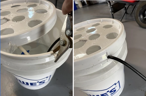 Greens in Aeroponics