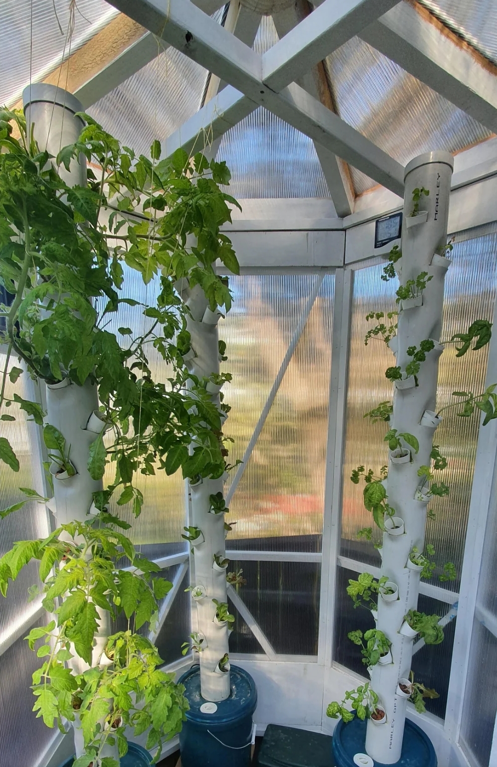 Home Aeroponics System