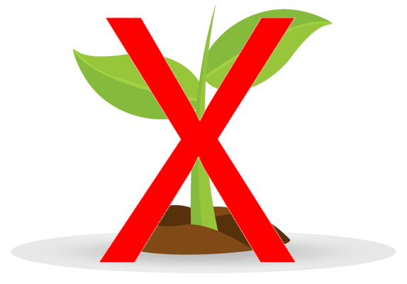 No Soil